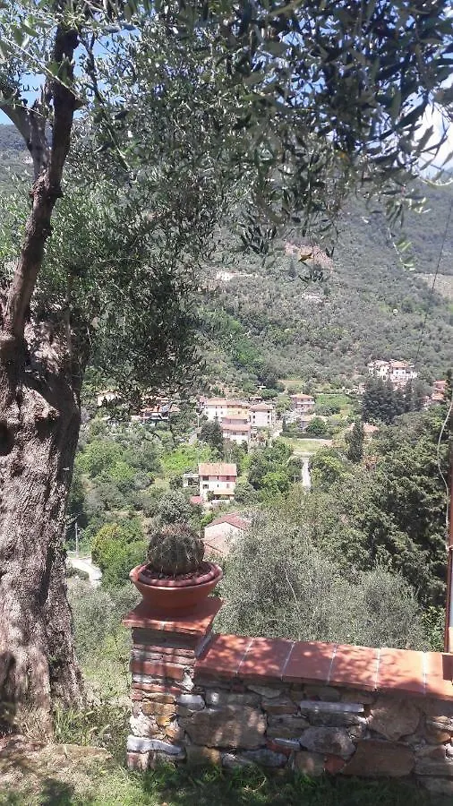 Il Colle Di Abramo Casa Vacanze Enrica Pietrasanta Olaszország